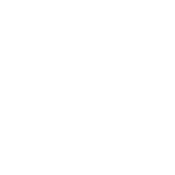 Linkedin icon